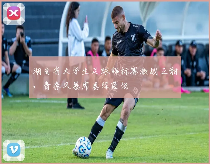 湖南省大学生足球锦标赛激战正酣，青春风暴席卷绿茵场