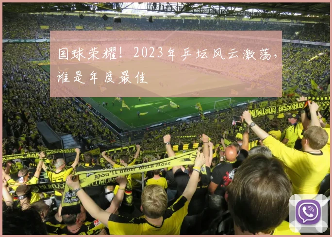 国球荣耀！2023年乒坛风云激荡，谁是年度最佳